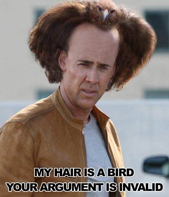 Hair is a Bird